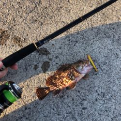 ウルトラライトショアジギング