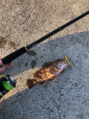 ウルトラライトショアジギング