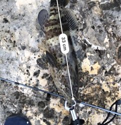 安謝川  ミーバイ