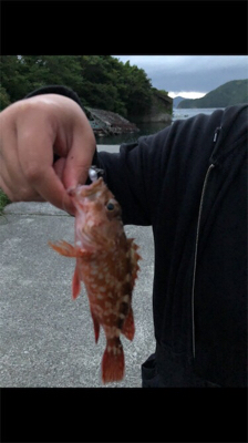 GW最終の五目ランガン