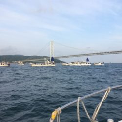 知り合いの船で明石タイ狙い