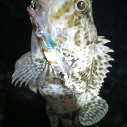 ナイトメバリング