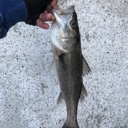 6ヒット4バラシ…