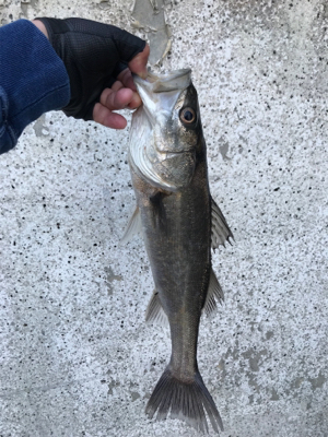 6ヒット4バラシ…