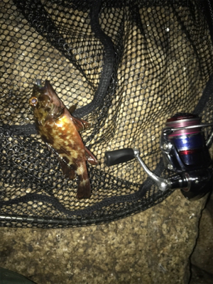 寒い中ガシリング(^。^)