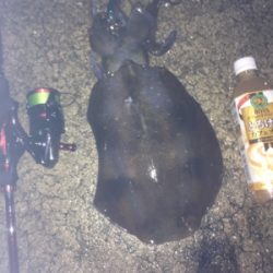 ギリキロアップ