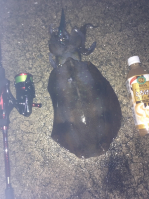 ギリキロアップ