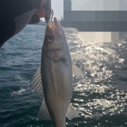 爆風向かい風、締めの一投で♫