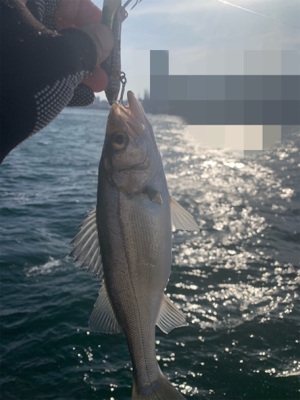 爆風向かい風、締めの一投で♫