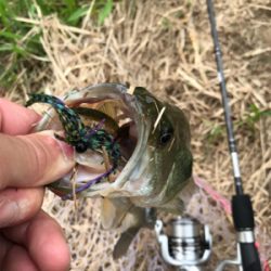 スモラバサイト