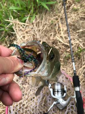 スモラバサイト