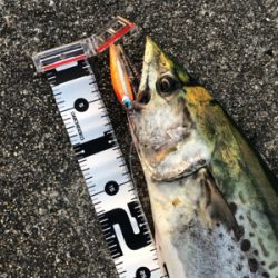 GWは仕事だったから…