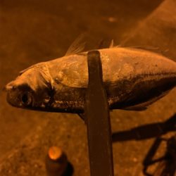 フロートアジング