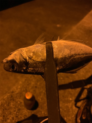 フロートアジング