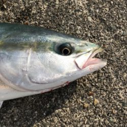 ラッキー２度目