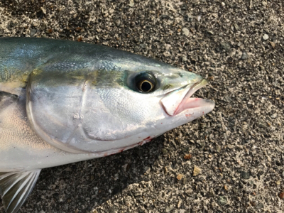 ラッキー２度目