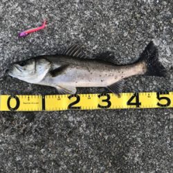 今週も行って来ました〜！