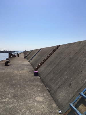 6ヶ月ぶりムコイチ