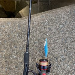 エギング、フラットフィッシュ