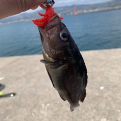 今シーズン初の沖堤釣行