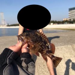 癒し系ガッシー