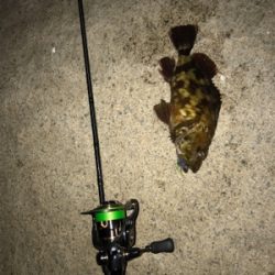 事前調査の後に