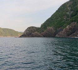 つりぴぃぽぉ釣果