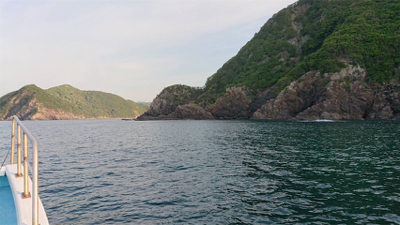 つりぴぃぽぉ釣果