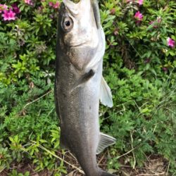 苦しんだ末の…