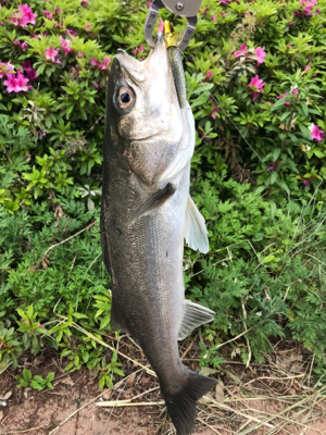 苦しんだ末の…