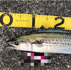 2人は良いが、、、