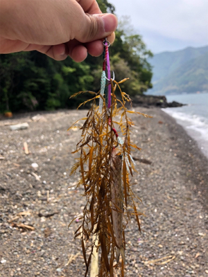 エソよもっと引いてくれ