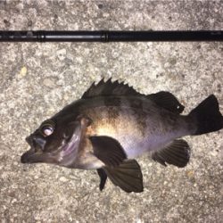 深夜のライトゲーム