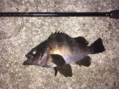 深夜のライトゲーム