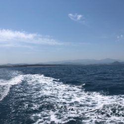 ジギング初挑戦