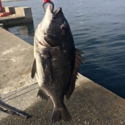 釣り日和でした