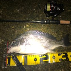 いつもの場所でいつもの釣り方