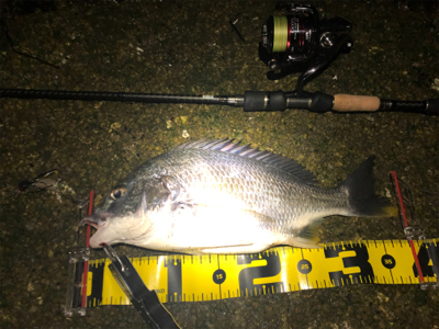 いつもの場所でいつもの釣り方