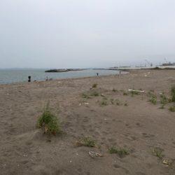 本命とは別の嬉しいもの