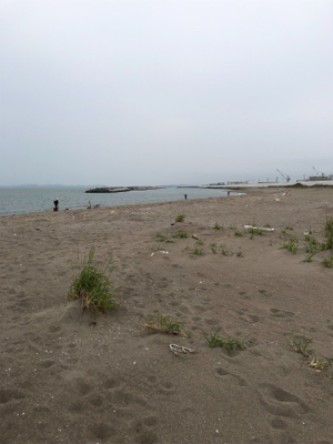 本命とは別の嬉しいもの