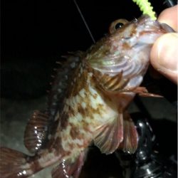 日課的シャロー&サーフ