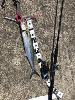 調子に乗って…釣り仲間と