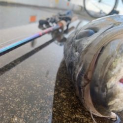 70アップ２日連チャン♫