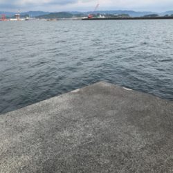 本日もエソなり。