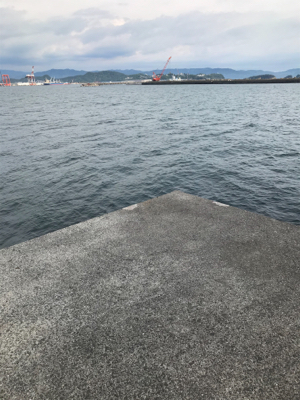 本日もエソなり。