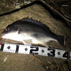 3投目のフォールでヒット。