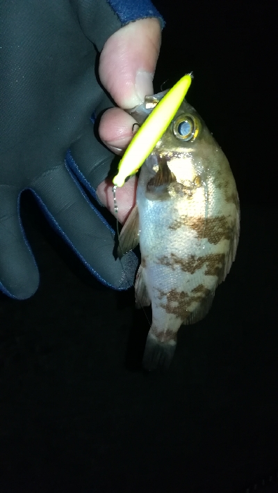 ナイトメバリング