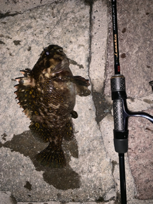 観光スポットにてパート2