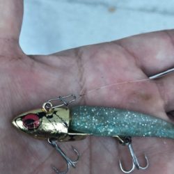 朝マズメ シーバス