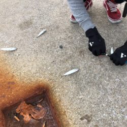 ボート釣りならず 泣